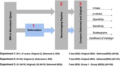 A Simulation Toolkit for Testing the Sensitivity and Accuracy of Corticometry Pipelines